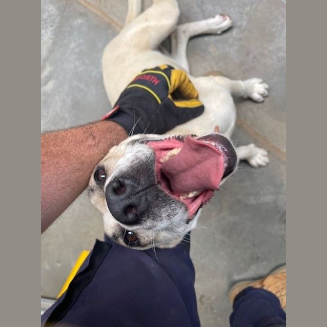 Photo of Pretty Girl