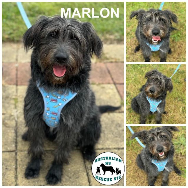 Photo of Marlon 