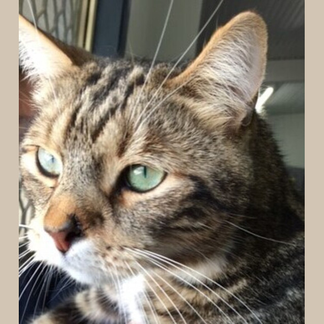 Photo of Colin
