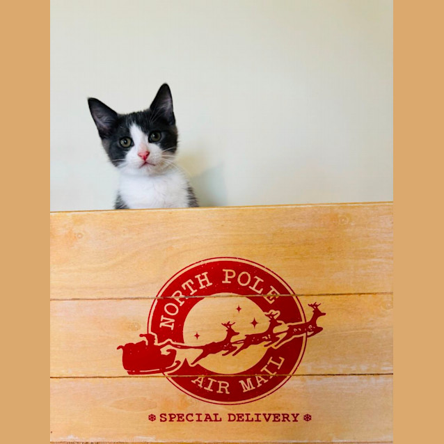 Photo of 💙💙 Kit 💙💙