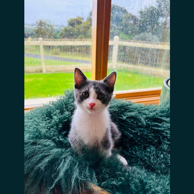 Photo of 💙💙 Kit 💙💙