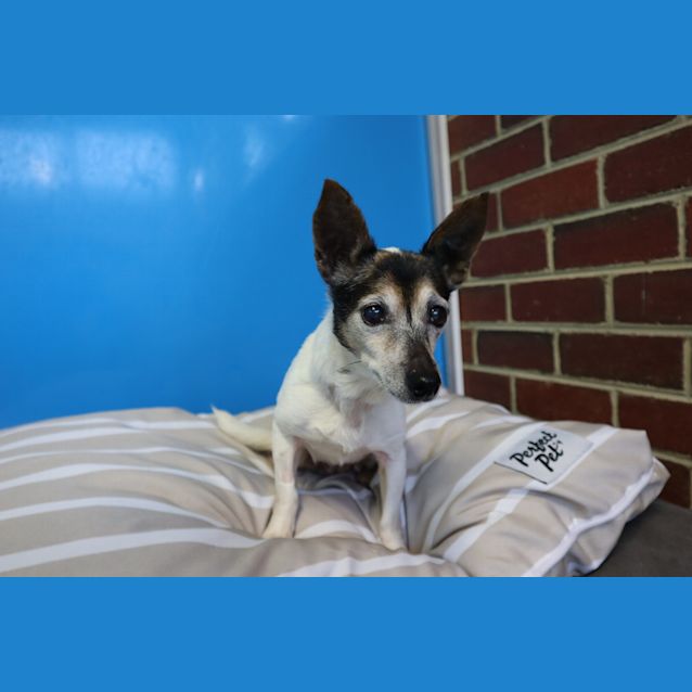 Photo of Missy