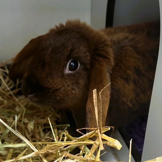 Photo of Janet