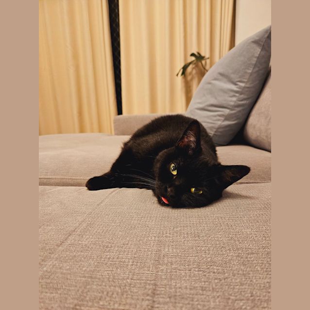 Photo of Poppy