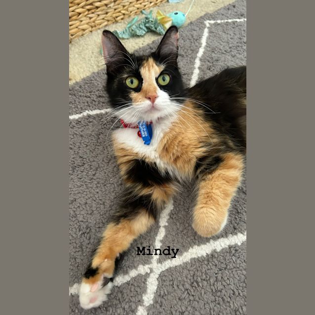 Photo of Mindy