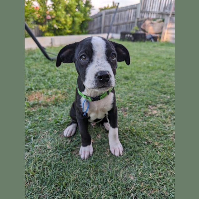 Photo of Bert