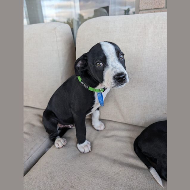 Photo of Bert