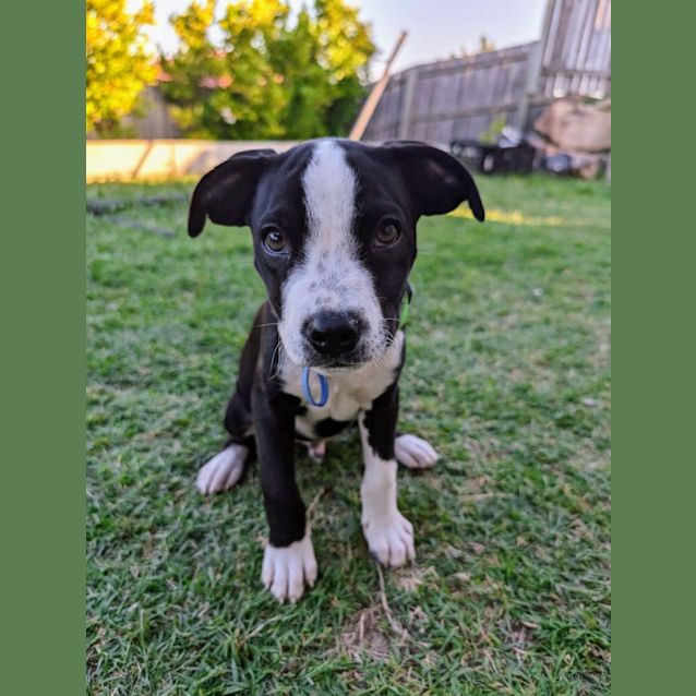 Photo of Bert