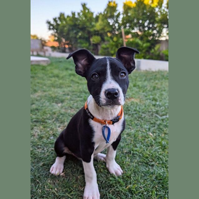 Photo of Rosita