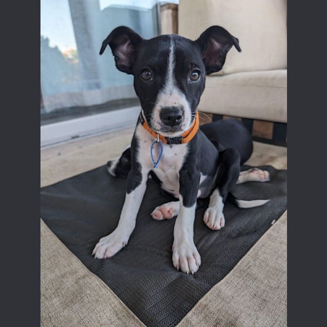 Photo of Rosita