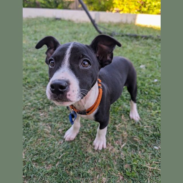 Photo of Rosita