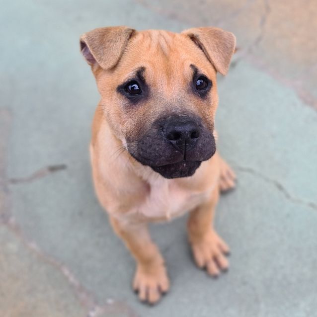 Photo of Hudson