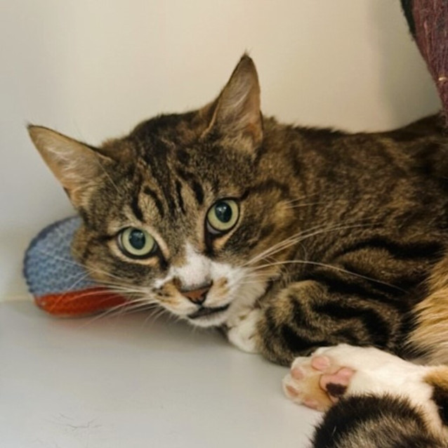 Photo of Rocket