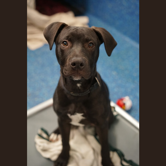 Photo of Axel