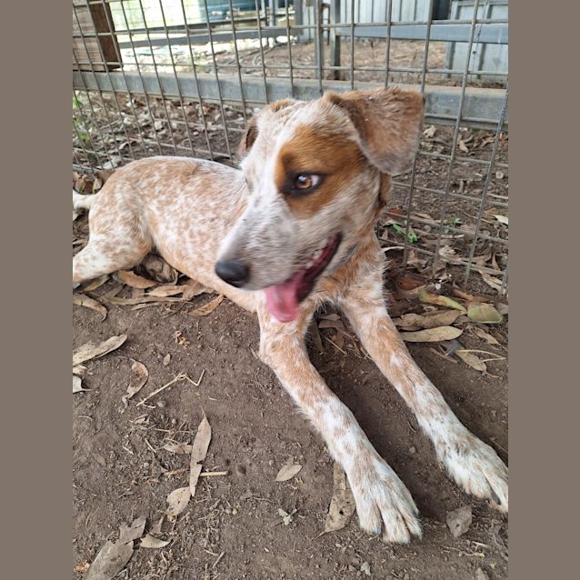 Photo of Holly Zeffer 