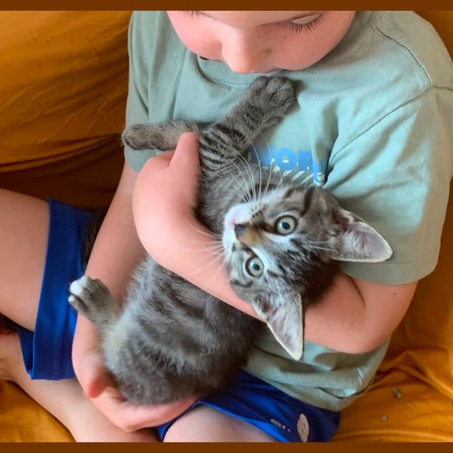 Photo of Billie 💙😺🎄