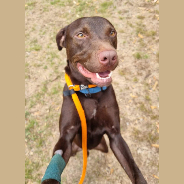 Photo of Hershey