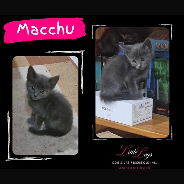 Photo of Macchu