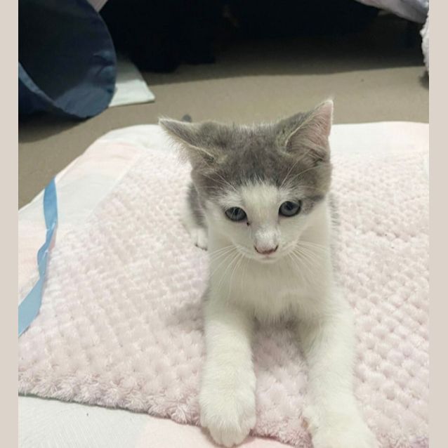 Photo of ❤️ Adam ❤️