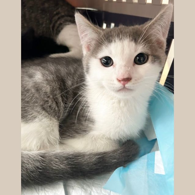 Photo of ❤️ Adam ❤️