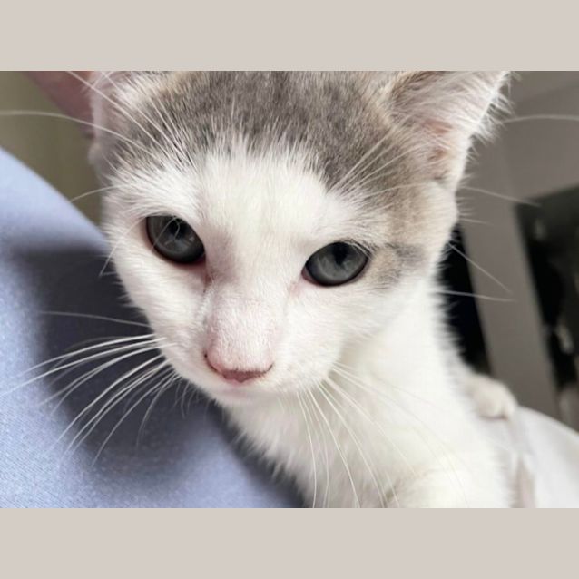 Photo of ❤️ Adam ❤️