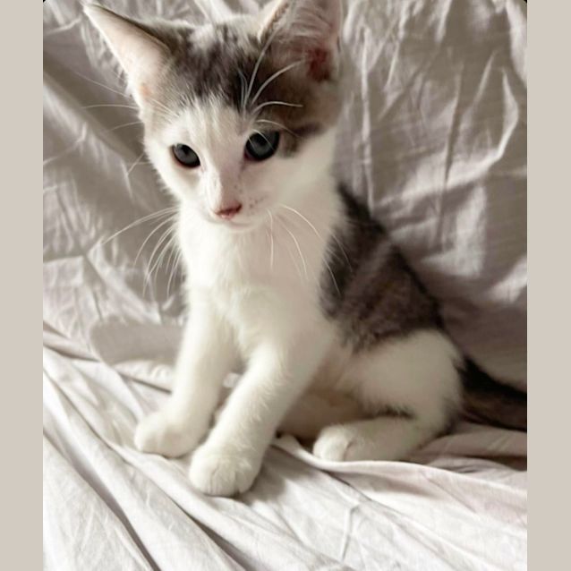 Photo of ❤️ Adam ❤️