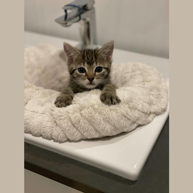 Photo of Kiki