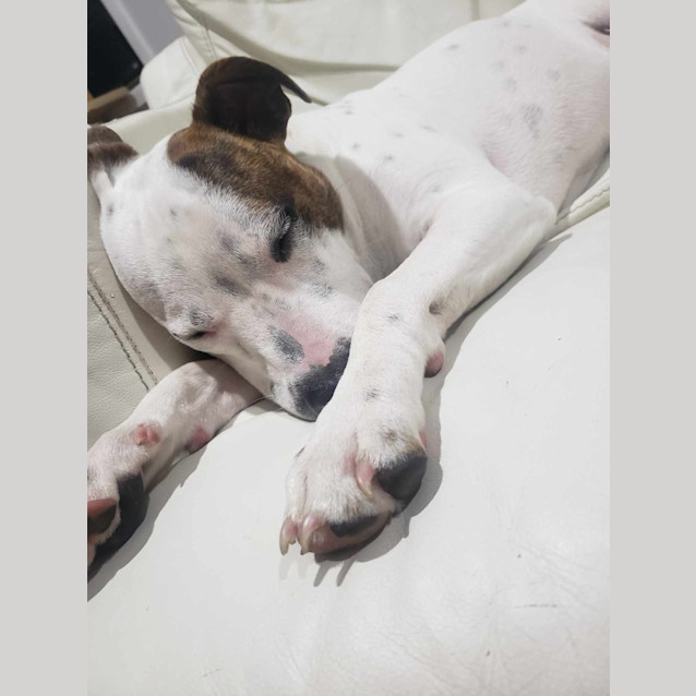 Photo of Cash