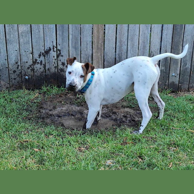 Photo of Cash