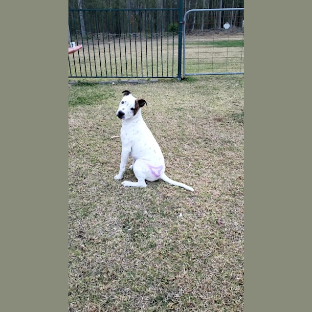 Photo of Cash