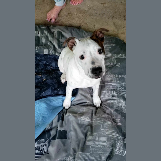 Photo of Cash
