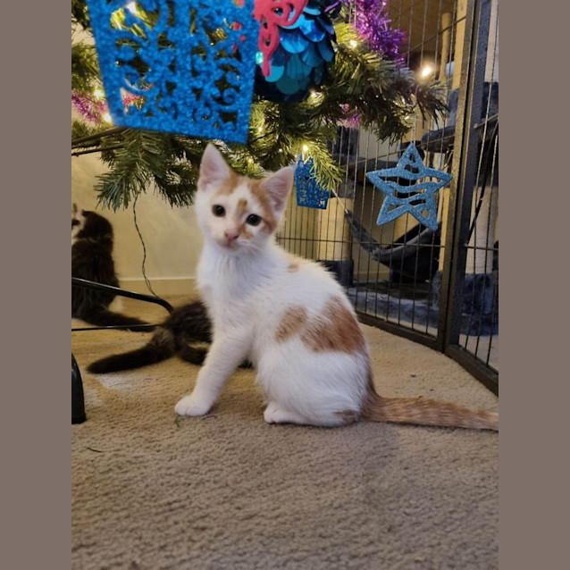 Photo of Tom