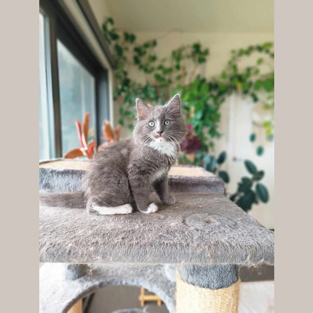 Photo of Hiccup (And Astrid)