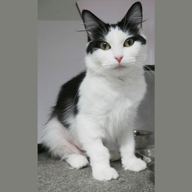 Photo of Kylie Sta011894 & Dani Sta011895