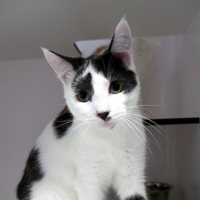 Photo of Storm & Remi