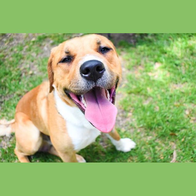Photo of Pokey