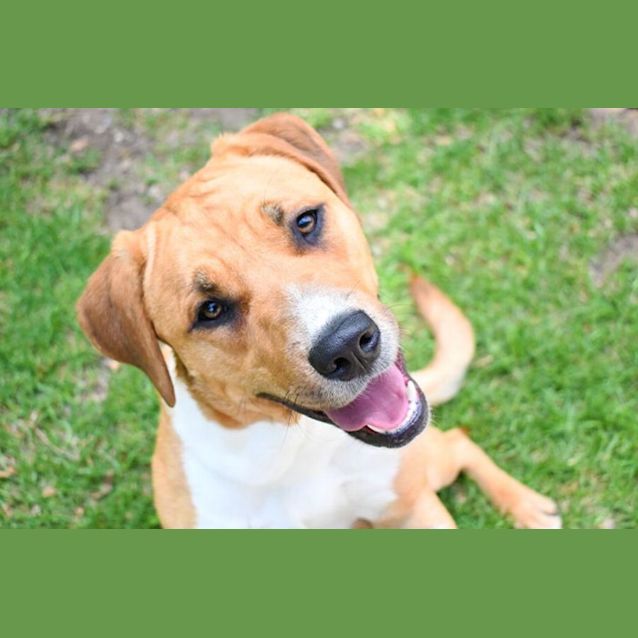 Photo of Pokey