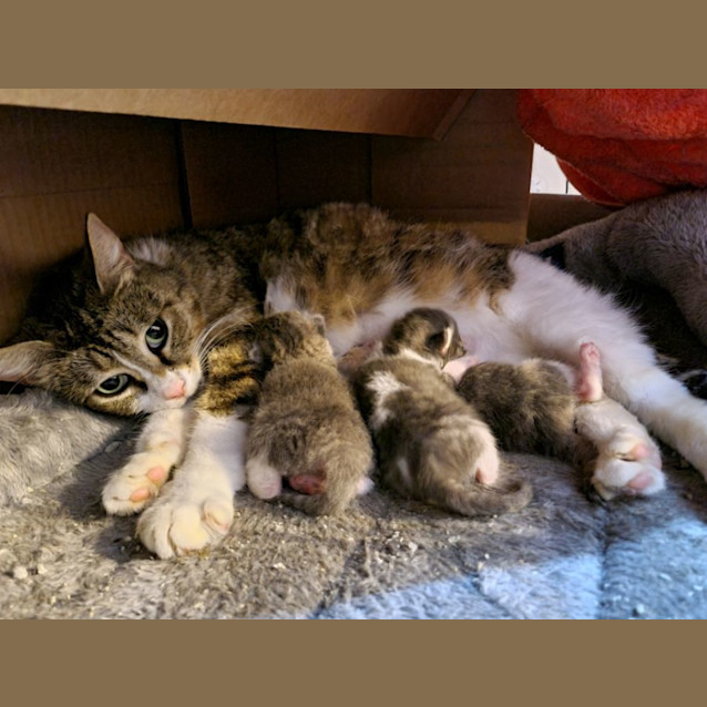 Photo of Hollie 🌹