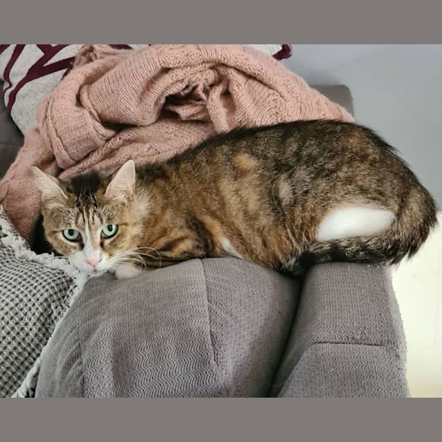 Photo of Hollie 🌹