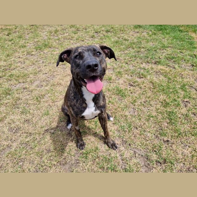 Photo of Lola Imp 1893