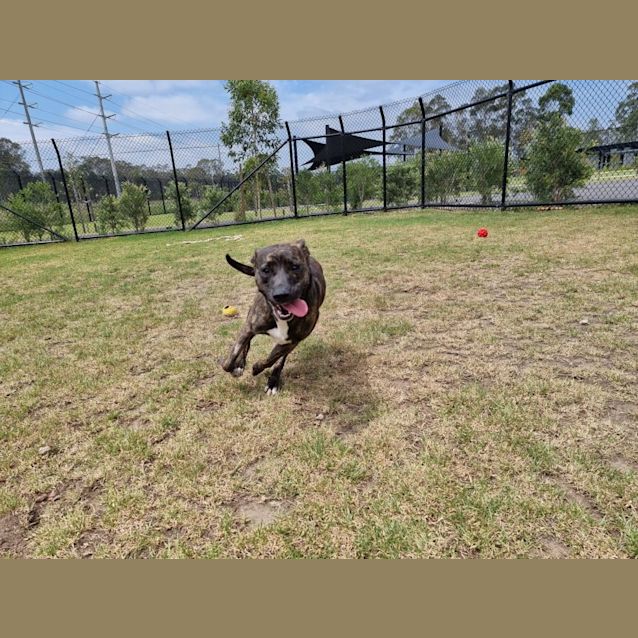 Photo of Lola Imp 1893