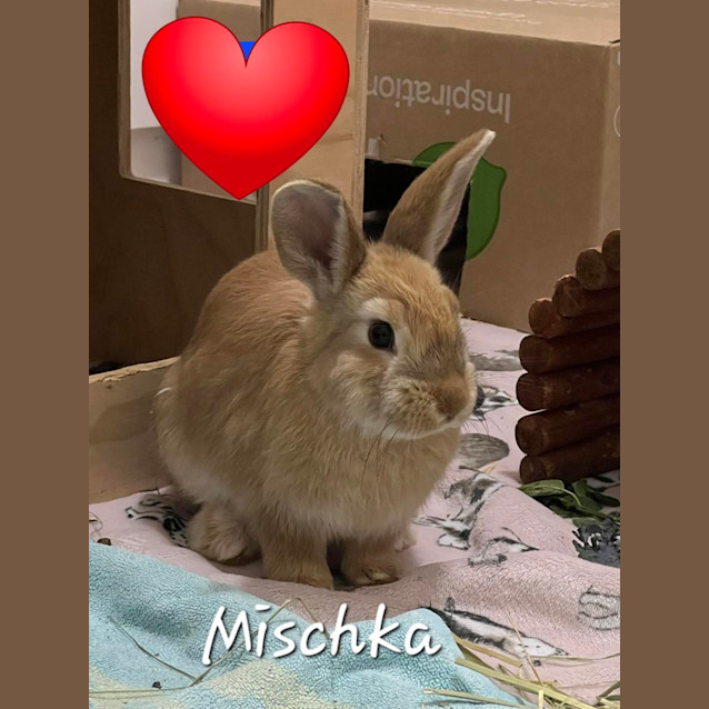 Photo of Miskcha & Marvel