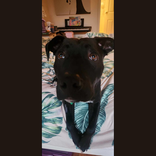 Photo of Buddy 