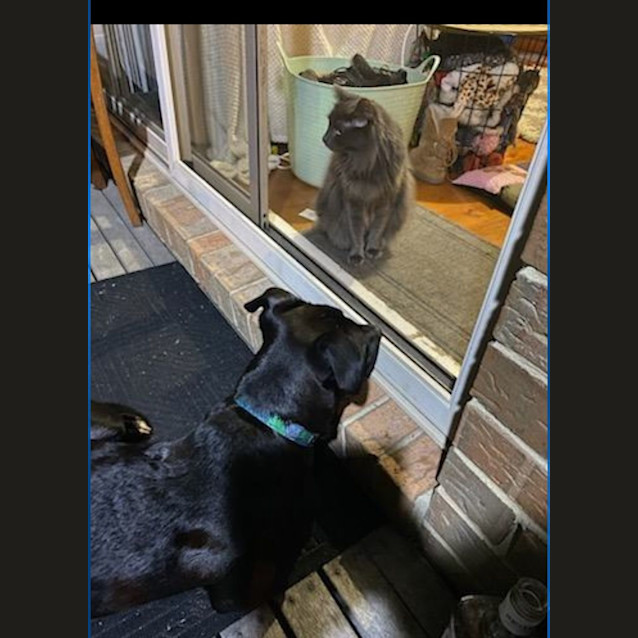 Photo of Buddy 