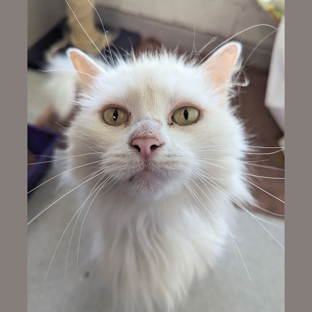 Photo of Matilda