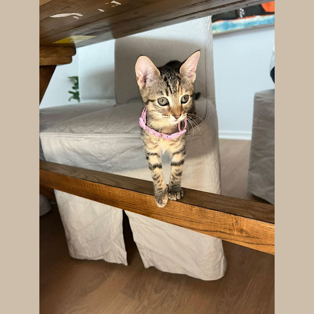 Photo of Maggie