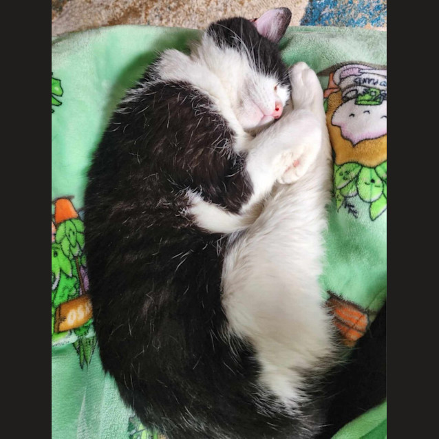 Photo of Lily
