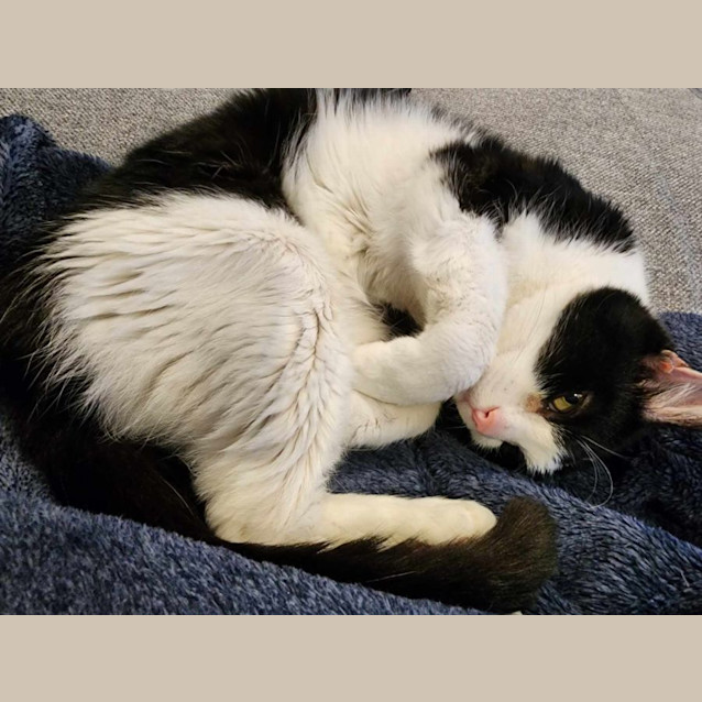 Photo of Lily