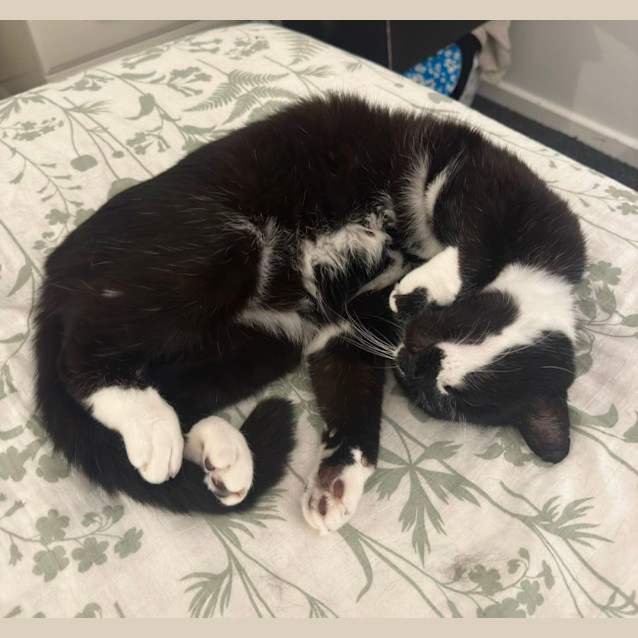 Photo of Major Tom & Billy Joel