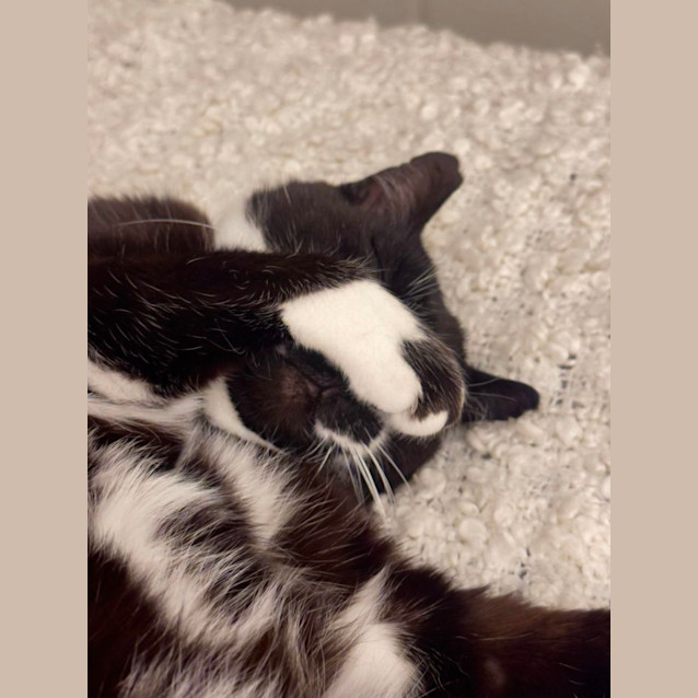 Photo of Major Tom & Billy Joel